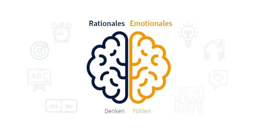Der Kaufprozess eines Konsumenten findet im rechten emotionalen Teil des Gehirns statt.